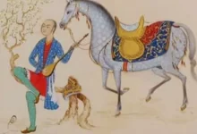 Keloğlan (Kaloğlan)