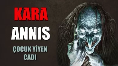 Kara Annis